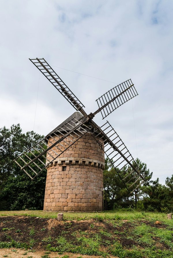 Wie fördert man die geistige Klarheit durch mediterrane Ernährung?